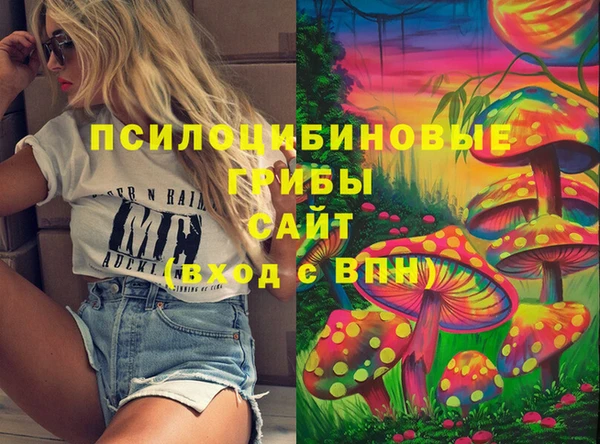 соль курить ск Гусев